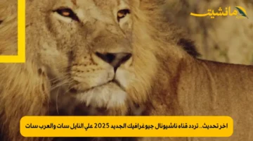 أخر تحديث.. تردد قناة ناشيونال جيوغرافيك الجديد 2025 على النايل سات والعرب سات